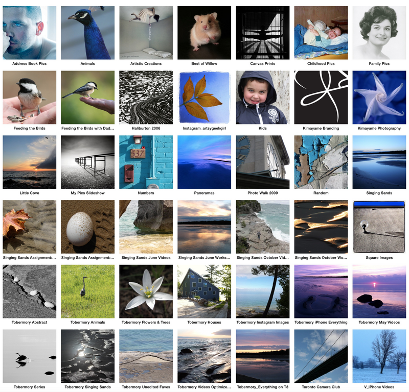Photo Organization